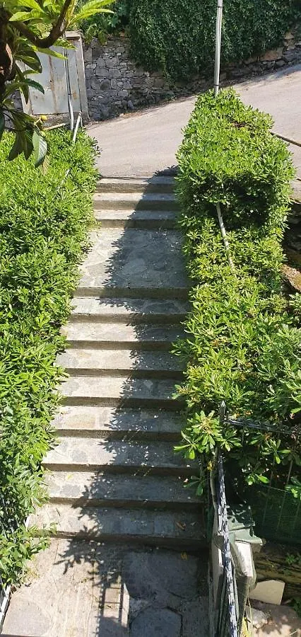 Il Pesciolino D'Oro Parcheggio Privato Apartment Camogli 0*,  Italy